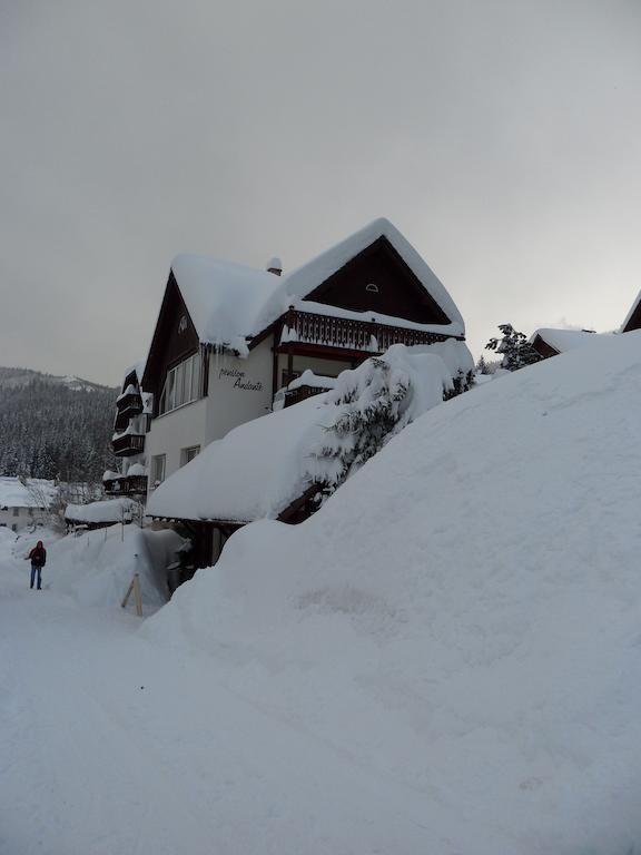 Pension Andante Špindlerŭv Mlýn Esterno foto